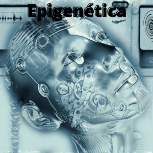 Epigenética